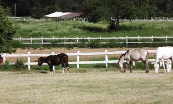 Imagem 2: HARAS RESIDENCIAL em Itu - SP, Bairro do Jacu