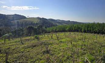 Imagem: ÁREA RURAL em Agudos do Sul - PR, Sobrado