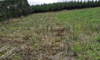 Imagem 4: ÁREA RURAL em Agudos do Sul - PR, Sobrado