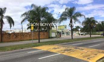 Imagem 2: EXELENTE TERRENO COMERCIAL - PORTARIA HORTO 1