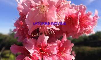 Imagem 6: CHACARA RESIDENCIAL em JUNDIAI - SP, MEDEIROS