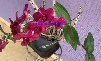 Imagem 7: CASA RESIDENCIAL em JUNDIAÍ - SP, VILA NOVA ESPERIA