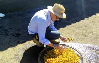 Imagem 6: FAZENDA RURAL em PEDRALVA - MG, ESTRADA REAL