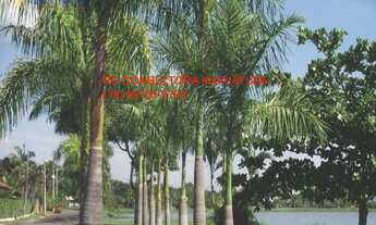 Imagem 3: TERRENO EM CONDOMINIO RESIDENCIAL em Indaiatuba - SP, Vale das Laranjeiras