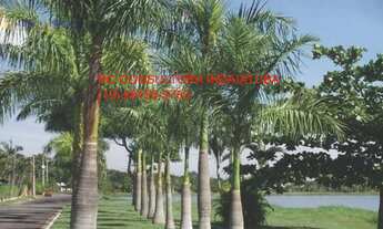 Imagem 4: CHACARA RESIDENCIAL em INDAIATUBA - SP, VALE DAS LARANJEIRAS