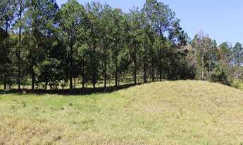 Imagem 3: HARAS RURAL em SOROCABA - SP, BRIGADEIRO TOBIAS