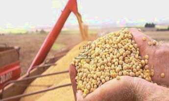 Imagem 3: AREA RURAL em BAIXA GRANDE DO RIBEIRO - PI, CENTRO