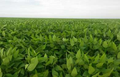 Imagem 6: AREA RURAL em BAIXA GRANDE DO RIBEIRO - PI, CENTRO