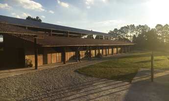 Imagem 3: HARAS RURAL em IBIÚNA - SP, CENTRO