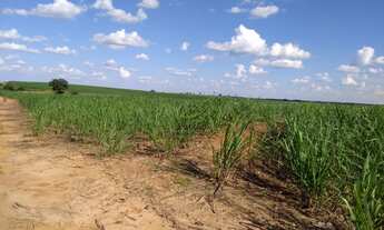 Imagem 3: AREA RURAL em PIRASSUNUNGA - SP, JARDIM CACHOEIRA