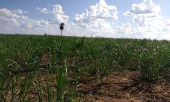 Imagem 7: AREA RURAL em PIRASSUNUNGA - SP, JARDIM CACHOEIRA