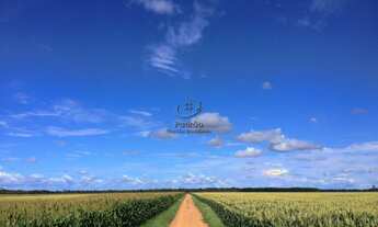 Imagem: AREA RURAL em TAILÂNDIA - PA, CENTRO