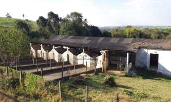 Imagem 2: HARAS RURAL em TIETÊ - SP, rural