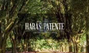 Imagem: TERRENO RESIDENCIAL em Jaguariúna - SP