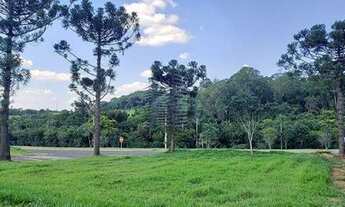 Imagem 6: TERRENO RESIDENCIAL em Jaguariúna - SP, Haras Patente