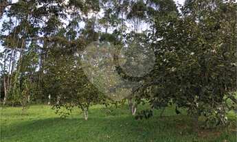 Imagem 7: 4 dormitórios, 1 suítes, 5 banheiro, 10 vagas na garagem, 350M² de Área Construída