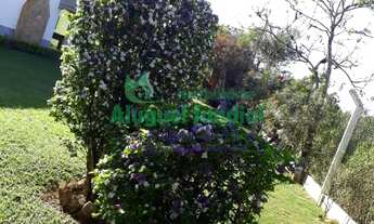 Imagem 7: CHÁCARA VENDA CAMPO LIMPO PAULISTA