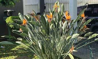 Imagem 7: 4 dormitórios, 3 banheiro, 4 vagas na garagem, 188M² de Área Construída