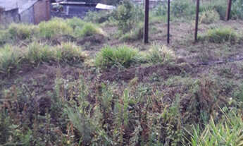 Imagem 3: 890M² de Área Total