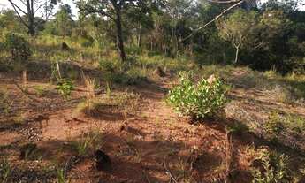 Imagem 3: 5000M² de Área Total