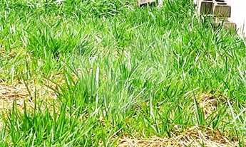 Imagem 6: 701M² de Área Construída, 701M² de Área Total