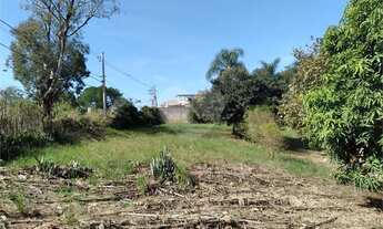 Imagem 6: 2 dormitórios, 1 banheiros, 129M² de Área Construída, 23264M² de Área Total