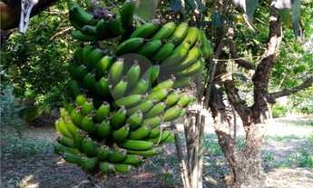 Imagem 2: 2 dormitórios, 2 banheiro, 5 vagas na garagem, 1512M² de Área Construída, 1512M² de Área T