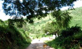Imagem 2: SITIO COMERCIAL em SERRA NEGRA - SP, SERRA NEGRA