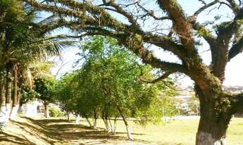Imagem: CHACARA COMERCIAL em campinas - SP, CHACARA