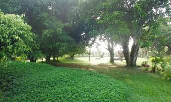 Imagem 3: SITIO RURAL em ELIAS FAUSTO - SP, ESTRADA DE MONTE MOR