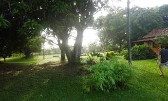 Imagem 4: SITIO RURAL em ELIAS FAUSTO - SP, ESTRADA DE MONTE MOR