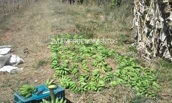 Imagem 3: SITIO RURAL em CACONDE - SP, CACONDE
