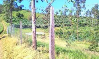 Imagem 4: SITIO RURAL em CACONDE - SP, CACONDE