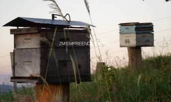 Imagem 6: SITIO RURAL em CACONDE - SP, CACONDE