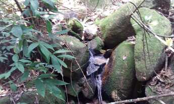 Imagem 3: Chacara a Venda em valinhos