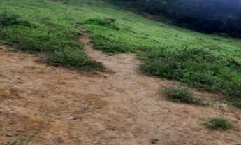 Imagem 2: SITIO RESIDENCIAL em MUNHOZ - MG, SÃO ROQUE