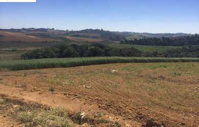 Imagem 2: Fazenda a venda em Munhoz