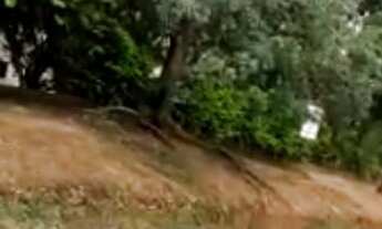 Imagem: Area industrial a venda em valinhos, terreno