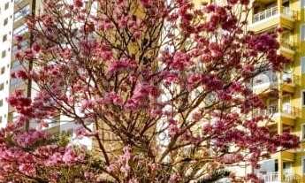 Imagem: Apartamento a venda em campinas Edifício