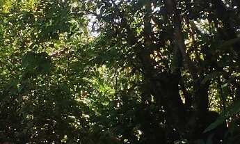 Imagem 5: CASA RESIDENCIAL em SÃO FRANCISCO DO SUL - SC, Rocio Grande