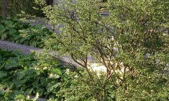 Imagem 7: APARTAMENTO RESIDENCIAL em JOINVILLE - SC, SAGUAÇU