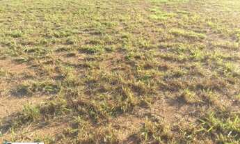 Imagem 6: 503M² de Área Construída, 503M² de Área Total