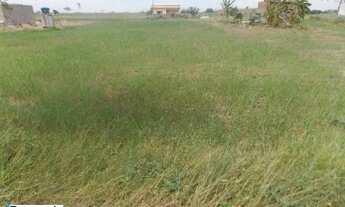 Imagem 4: 300M² de Área Total