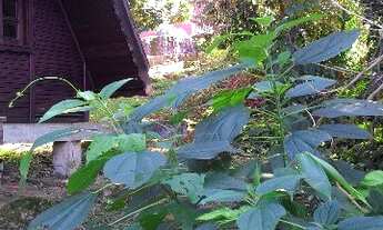 Imagem 6: 2 dormitórios, 2 banheiro, 1 vaga na garagem, 100M² de Área Total