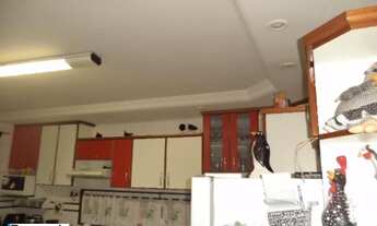 Imagem 4: 4 dormitórios, 2 suíte, 2 banheiro, 3 vagas na garagem, 352M² de Área Total