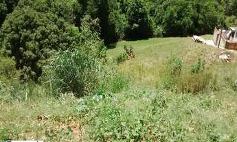 Imagem: 2462M² de Área Total