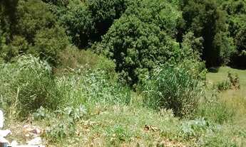 Imagem 2: 2462M² de Área Total