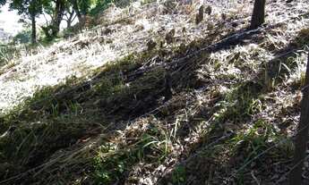 Imagem: 798M² de Área Total