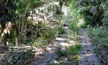 Imagem 6: 2 dormitórios, 5 vagas na garagem, 7000M² de Área Construída