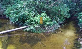 Imagem 3: BELÍSSIMO SITIO JARDIM NA BR 174 KM 17 58 HECTARES. DOCUMENTADO!